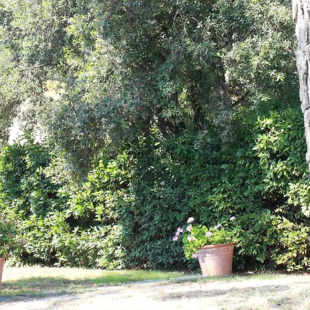 Villetta La Pineta Latignano Eksteriør bilde